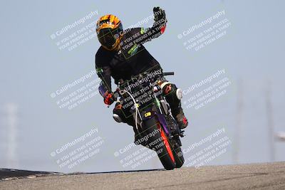 media/Oct-06-2025-2WTD (Mon) [[90522c3a0b]]/B Group/1120am (Grapevine)/